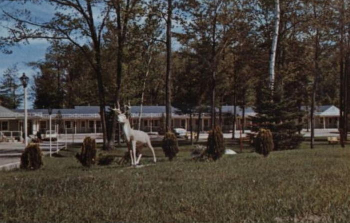 Deer Forest Motel (Sleepy Hollow Motel) - Old Postcard View (newer photo)